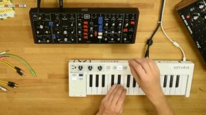 Behringer D - подробный обзор и демо