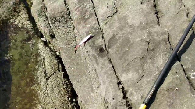 песня без слов , рыбалка минтай Владивосток 25.03.2023 смотреть онлайн