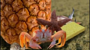 🆕️Губка Боб- Восхитительная родео (5/5)