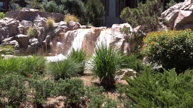 The Campsites At Fort Wilderness, And Hotel Hopping In Disney World.