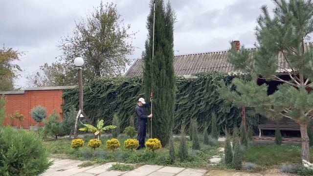 Краснодарские яблоки ? в Салехарде !!! смотреть онлайн