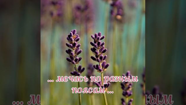 Благословенны Будьте Люди!!! смотреть онлайн