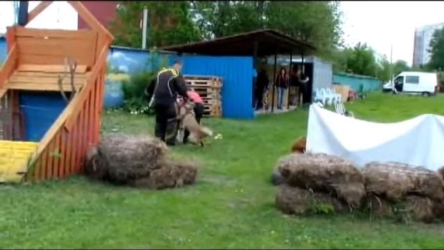 Школа Мондиоринга Дон-Бреме. Рабочие будни май 2012.flv смотреть онлайн