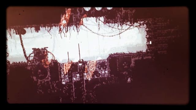 Слизни котик