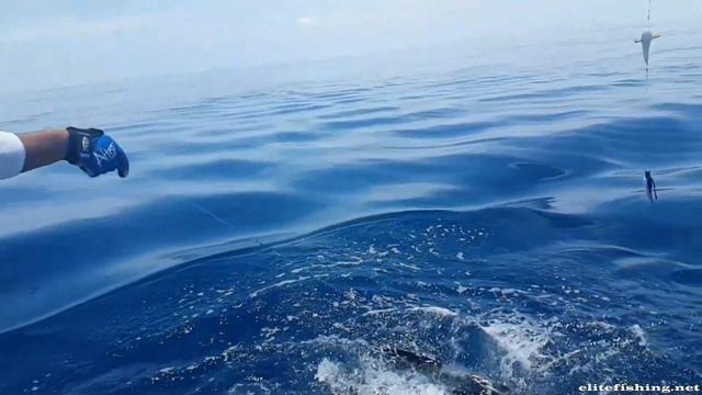 Elitefishing.net представляет:и снова выход 1 смотреть онлайн