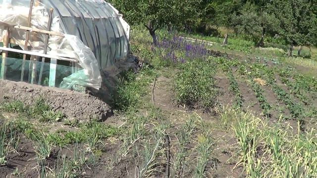 "Море" вышло из берегов..см. до конца смотреть онлайн