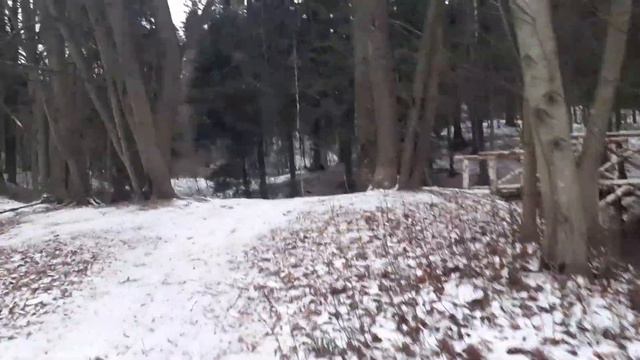 Белки , гора Парнас , Шуваловский парк , Парголово ( 2ч.)_(трек Под Крышей.../ Баранкин...-Мих.Чаро смотреть онлайн