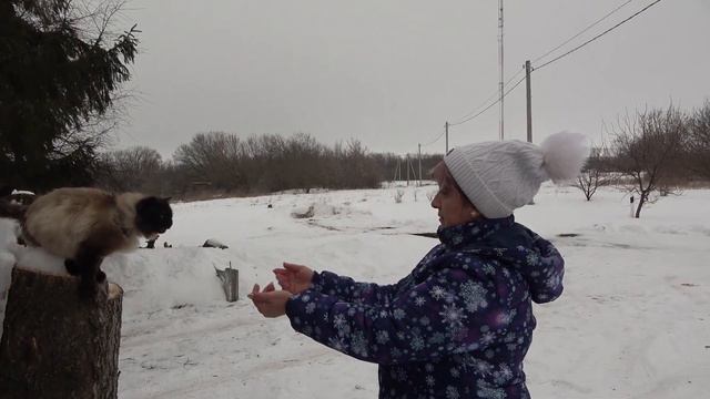 Богат наш край талантами смотреть онлайн