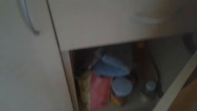 13500€ Park View Furnished Studio Apartment For Sale In Gerber 1 Sunny Beach Bulgaria