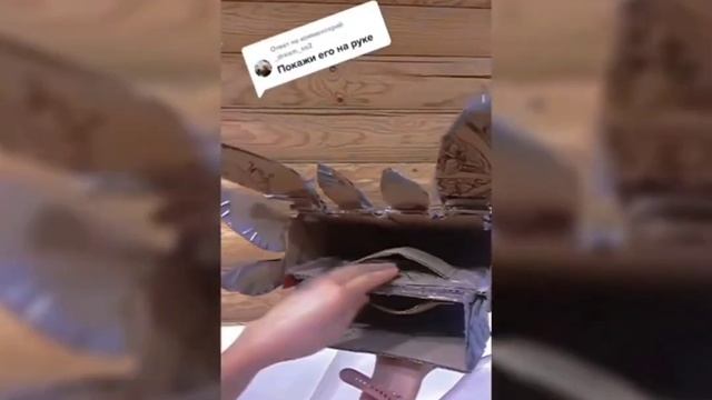 драконы с тик тока смотреть онлайн