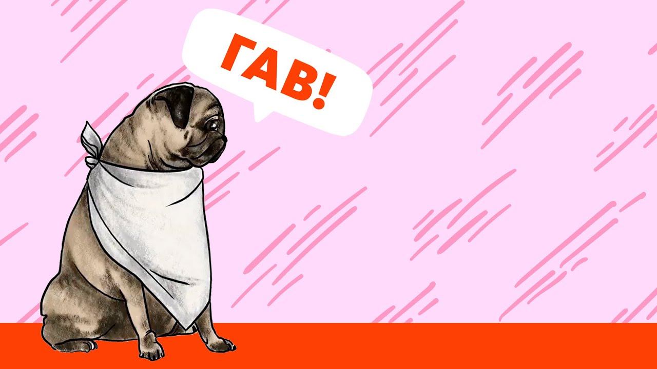 ЧТО ОЗНАЧАЕТ ВЫРАЖЕНИЕ "DOG`S BREAKFAST"?