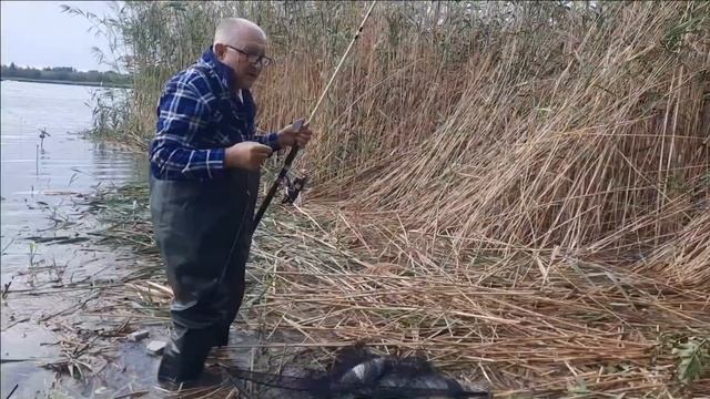 Рыбалка и отдых на Дону. Отпуск на воде с удочками. Сазаны трофейных размеров. Часть вторая. смотреть онлайн