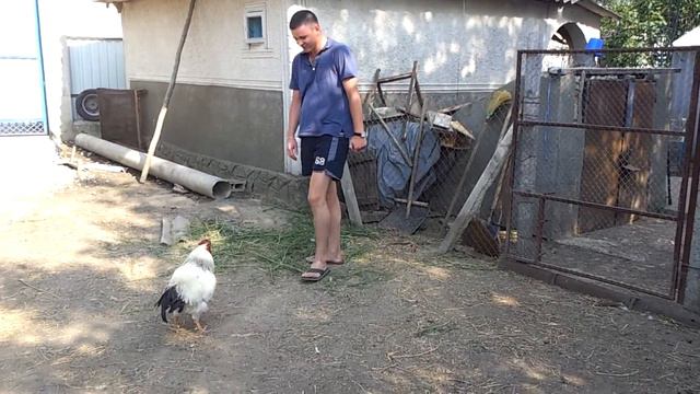 Бойцовский клуб))) смотреть онлайн