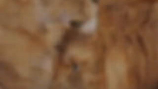 Музыка пот кайлы(1) смотреть онлайн