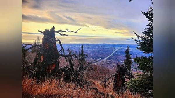 Золотой вид с высоты. Анкоридж,  Аляска. Alaska, Anchorage.(Zaz: Que Vendra)