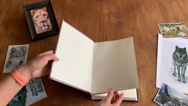 Фотоальбом Climax арт. СВ 46300 M2V image art c кармашками на 300 фото 10х15. Fotovic.ru смотреть онлайн