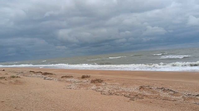 Света и Серёга на Азовском море//21.10.2022// смотреть онлайн