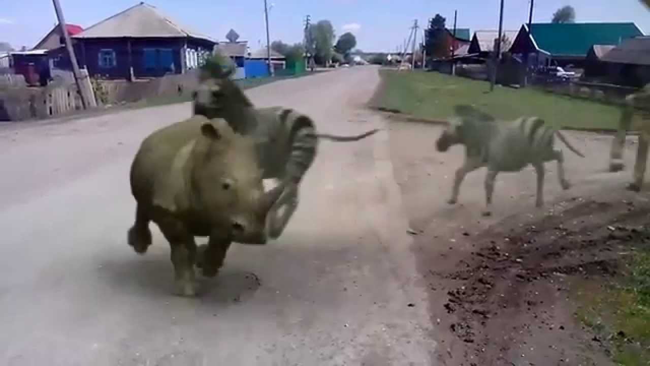 Обычный день в Северном смотреть онлайн