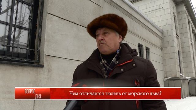 13.03.2018 Блиц-опрос: "Чем отличается тюлень от морского льва?" смотреть онлайн