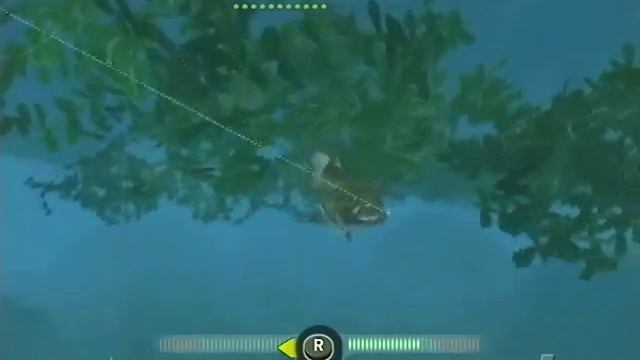 Cabela's Monster Bass PlayStation 2 Gameplay - We смотреть онлайн