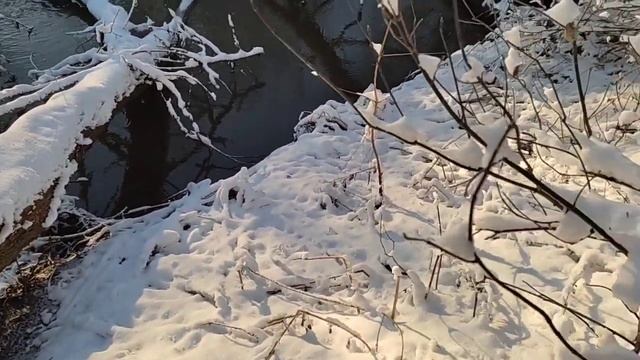 Проверка капканов и петель. Лиса в петле. охота на куницу, норку, лису, бобра. Есть результат. смотреть онлайн