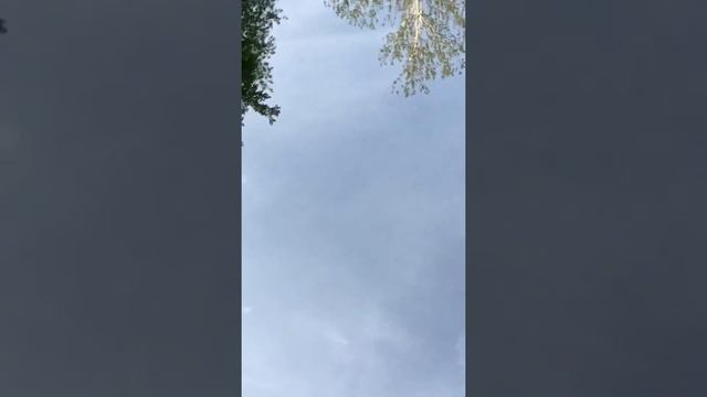 A spiny Adventure смотреть онлайн