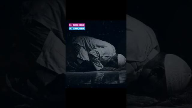 ТАХ1АДЖУД ЛАМАЗ МУХА ДО? КОРОТКО И ЯСНО!!!