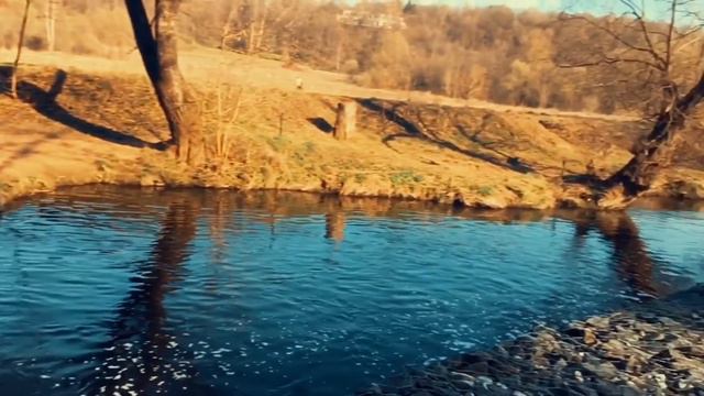 🦋🌊/ Polina MALINA смотреть онлайн