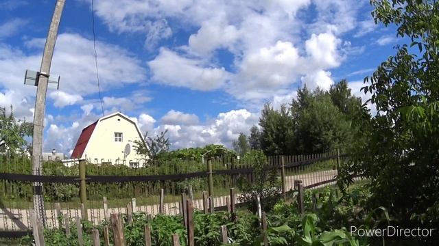 Чай с мятой на даче. Это прекрасно. Делаем дела и отдыхаем.Vlog.Брест смотреть онлайн