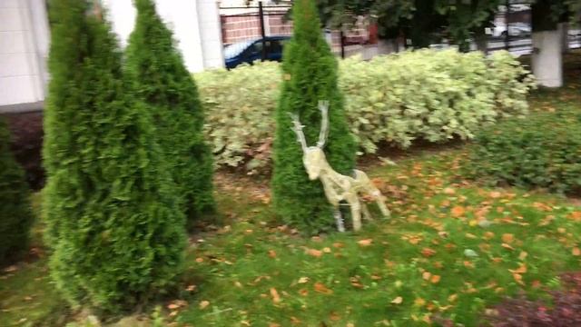 СУДИТЬ ДРУГИХ - ВРЕДИТЬ СЕБЕ. ЦЕЛИТЕЛЬ СВЕТЛАНА ЮРЬЕВНА смотреть онлайн