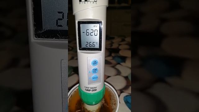 Семена укропа + гвоздика (специя). смотреть онлайн