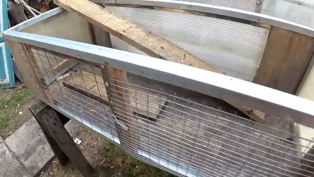 Майские дни. Почта России-где ответ?Демонтируем брудер смотреть онлайн