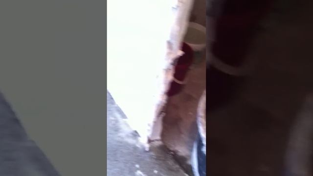 Наливные полы 