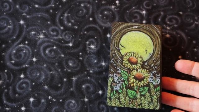 Indie Tarot Deck Collection Part 5 смотреть онлайн