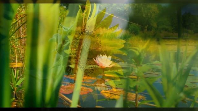 Душевное спокойствие | Расслабляющая музыка | Медитативная | Music | Meditative | Relaxing