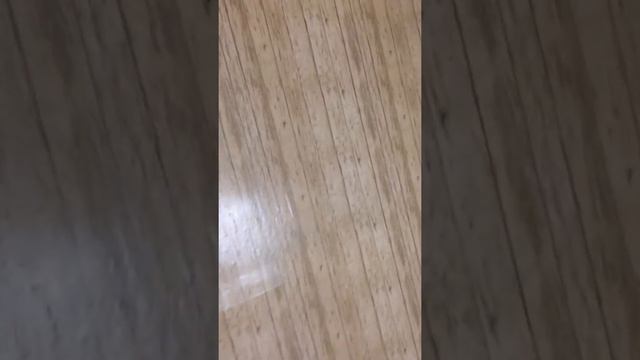 Пол из обоев. Вид после покрытия акриловым и перед паркетным лаками. 25.04.2019 смотреть онлайн