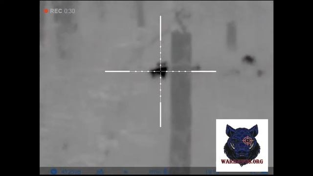 Adaptive Hero Hunt Pulsar Thermion XM50 242 Yards смотреть онлайн