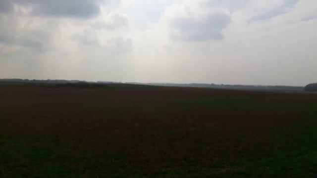 BobCat выравнивает участок