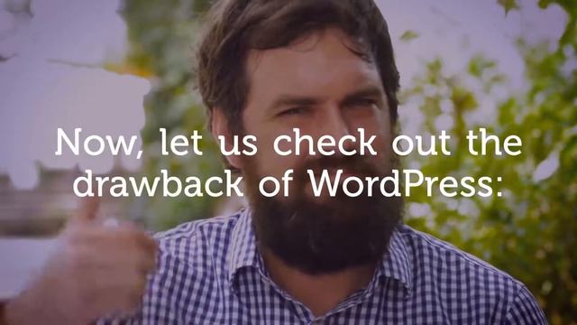 Revealed: The Top Pros and Cons of WordPress CMS смотреть онлайн