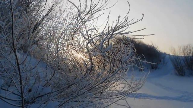 На лыжной прогулке (Ski walk) смотреть онлайн
