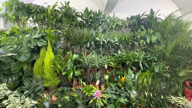 Abu Dhabi Flower Market || Mina Market || Exploring UAE Episode 018 || Telugu Travel Vlogs смотреть онлайн