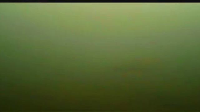 Такие маленькие прудики и такие караси. смотреть онлайн