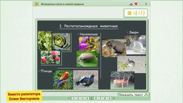 Невидимые нити в живой природе смотреть онлайн