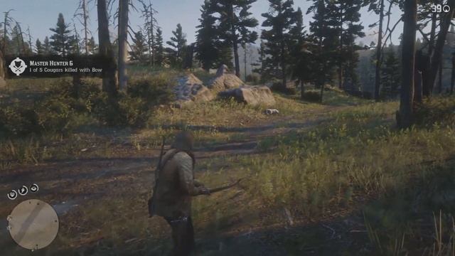 Red Dead Redemption 2 Master Hunter Challenges Guide смотреть онлайн