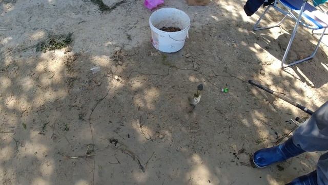 Летняя рыбалка на Дону.