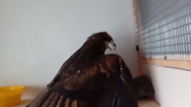 Лучше не лезть.