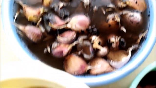 ТАКАЯ ПРОСТАЯ ПОДГОТОВКА ЧЕСНОКА ОБЕСПЕЧИТ ВАС ХОРОШИМ УРОЖАЕМ смотреть онлайн