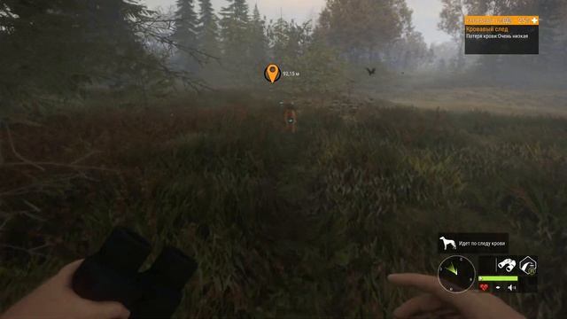 theHunter Call of the Wild пропал койот смотреть онлайн