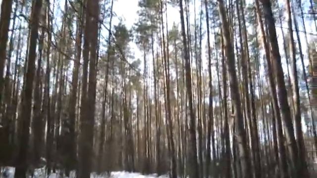 Кремешки и Сатис в начале марта. смотреть онлайн