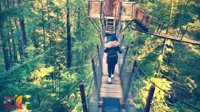 Capilano Suspension Bridge Park 2021 |Top Most Attraction In Vancouver BC |ভ্যানকুভার কানাডা ট্রাভে смотреть онлайн
